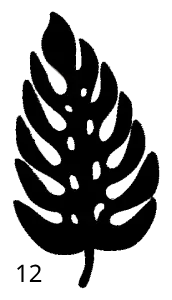 12 Feuille, Déco, Gravure Laser, Jp Laser Art.com