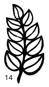 14 Feuille, Déco, Gravure Laser, Jp Laser Art.com