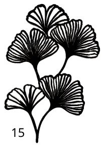 15 Gingko, Déco, Gravure Laser, Jp Laser Art.com