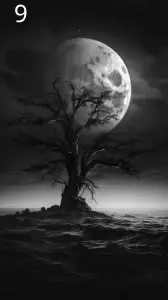 9 Paysages, Jp Laser Art.com